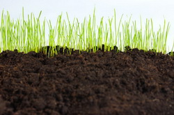 Cпособы подготовки почвы к посеву и посадке