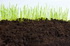 Cпособы подготовки почвы к посеву и посадке