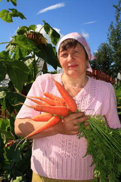 Барыня-морковь